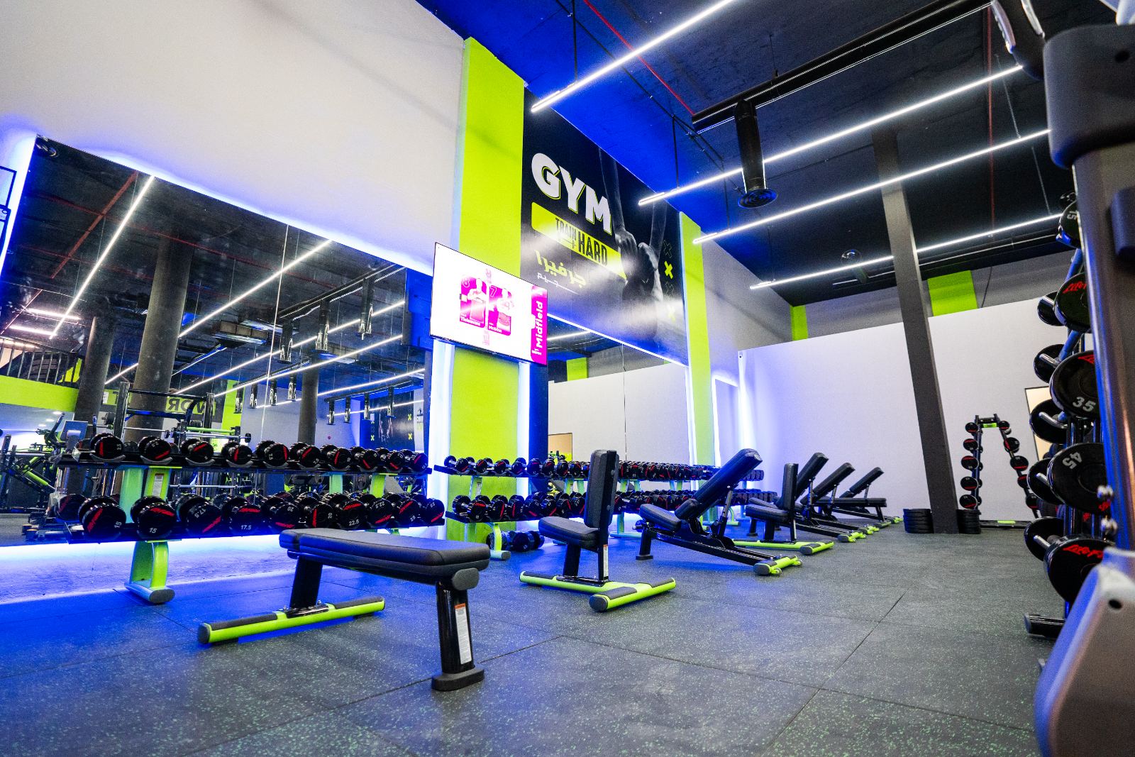 Gerfera Gym